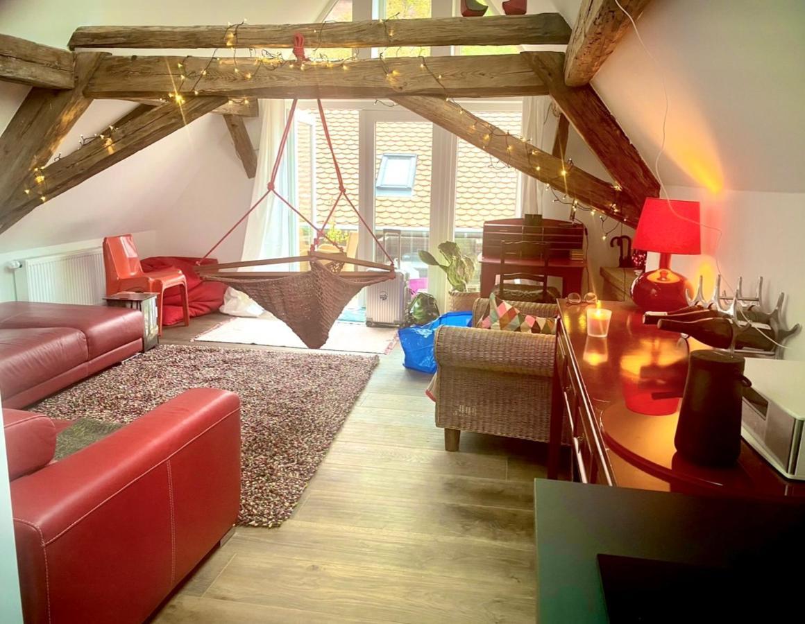 Schoenster Blick Auf Oppenheim! Extérieur photo